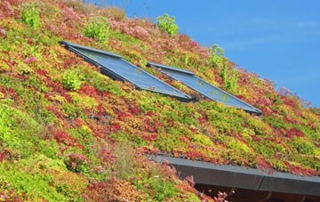 Coal Aston living roof systems