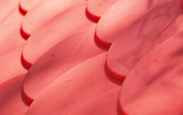 Coal Aston plastic roof costs